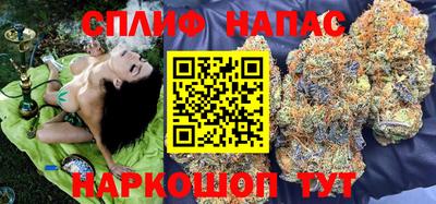 mdpv Можга