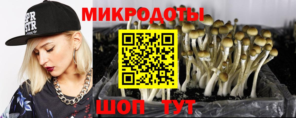 Псилоцибиновые грибы Cubensis  Вход с VPN  Елец 