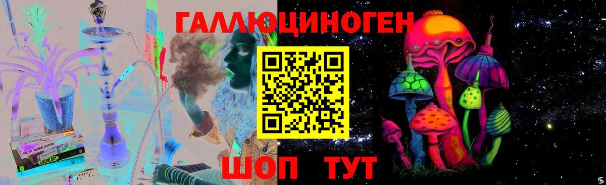 Псилоцибиновые грибы прущие грибы Елец